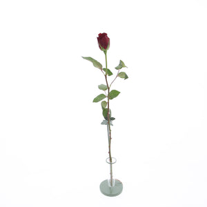 Rose, 50 stk. pr. spand